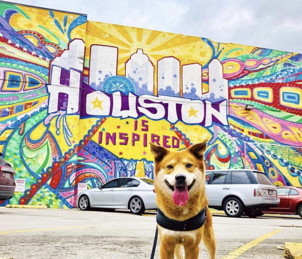 Houston Inspired Mural